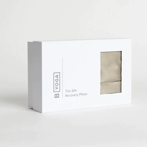 the silk recovery pillow